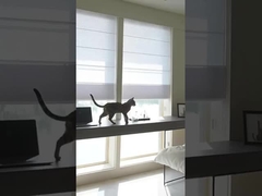 100% polyester blackout rolluiken Romeinse stof voor ramenbehandeling